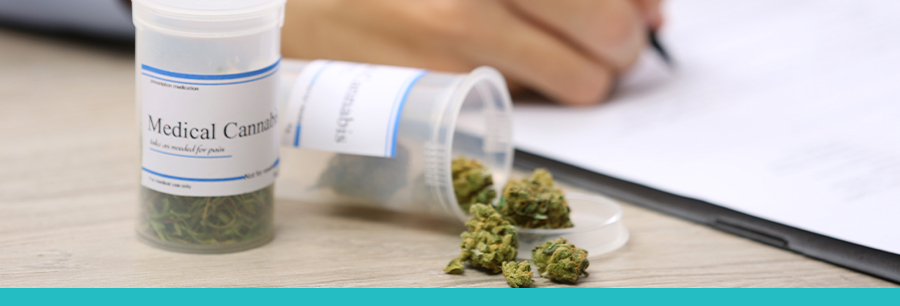 121624_Medical_Marijuana_Featured Image - Prospect WEB • Post-Election Recap: Marijuana Legalization in the U.S.